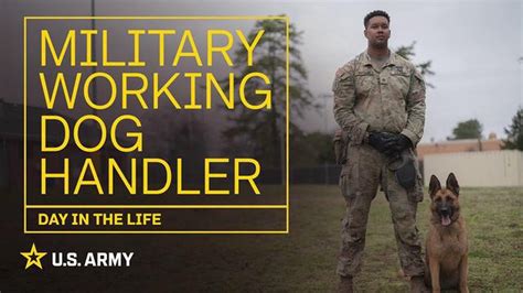 Military Dog Handler Salary How Much Do They Earn