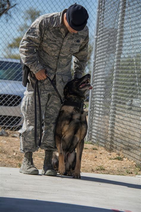 Military Working Dogs Handlers Are Mission Ready Travis Air Force