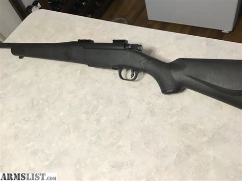 Mossberg Patriot 450 Bushmaster Review Immuno Oncology