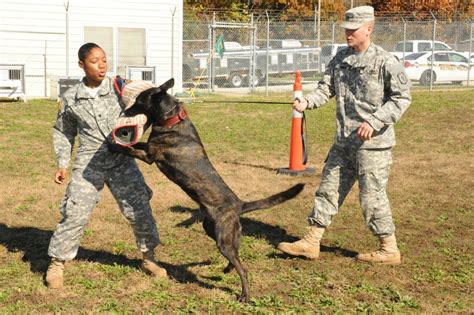 Mp Dog Handlers Receive Unique Military Occupational Speciality