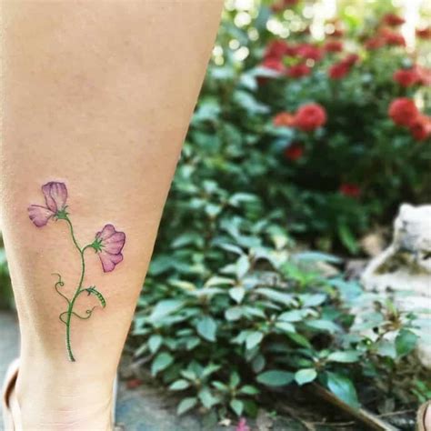 My New Sweet Pea Tattoo Sweet Pea Tattoo Tattoos Flower Tattoo