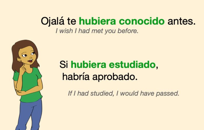 Past Perfect Subjunctive Spanish Guide Conjugations Amp Uses