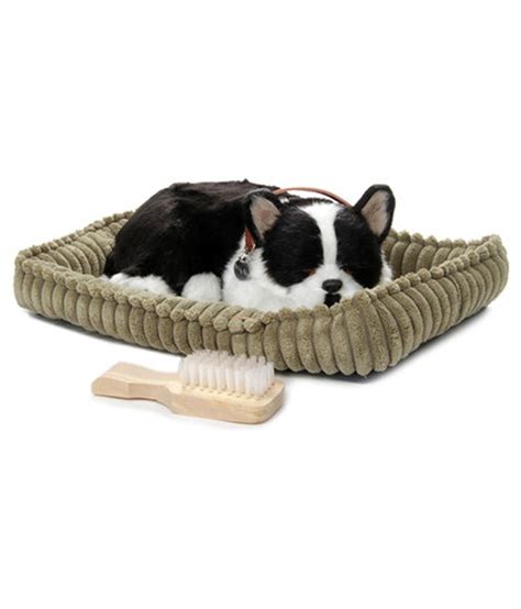 Perfect Petzzz Boston Terrier Buy Perfect Petzzz Boston Terrier Online At Low Price Snapdeal