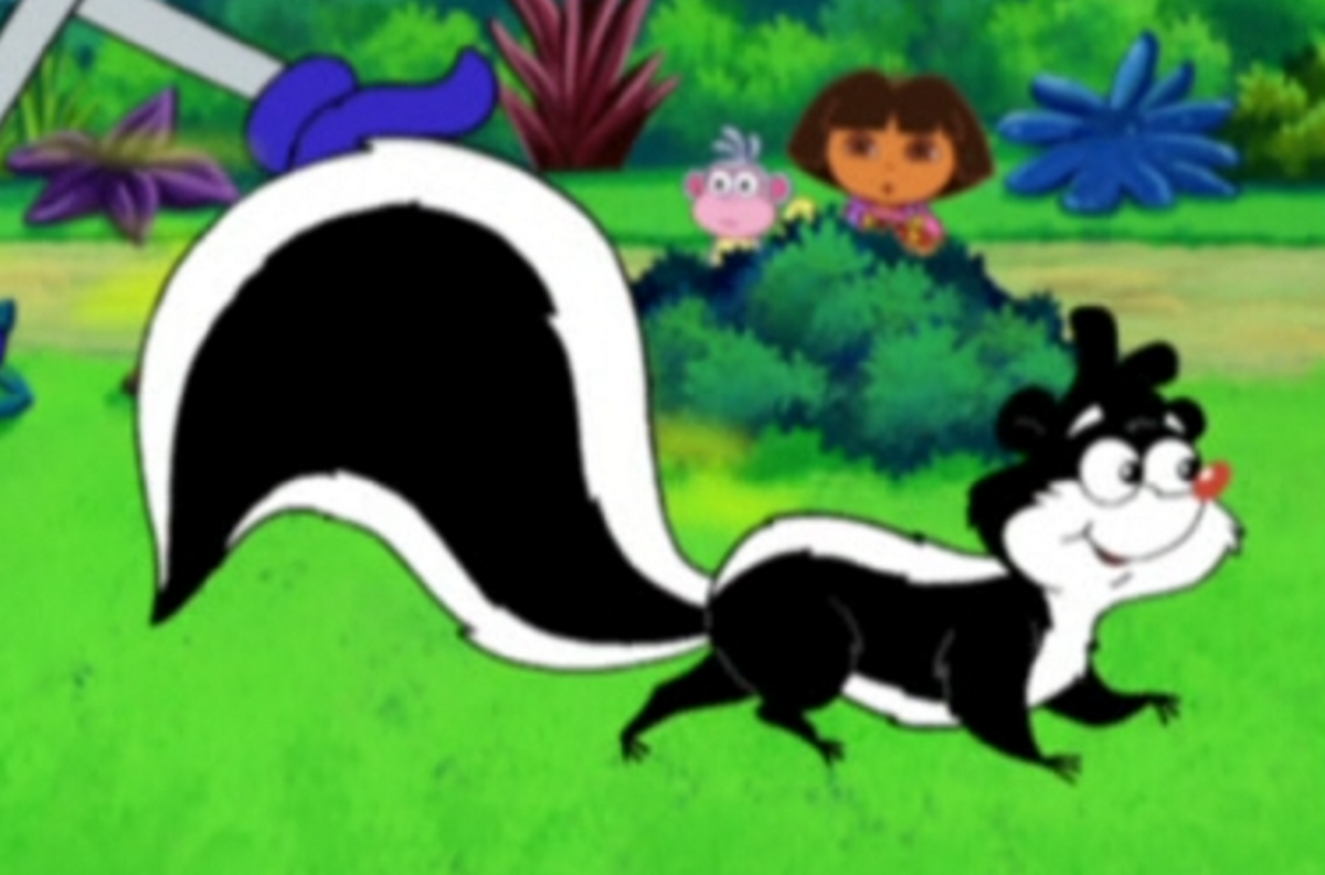 Pictures Of A Skunk