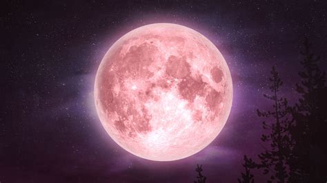 Pink Moon 2024 Barry Milzie