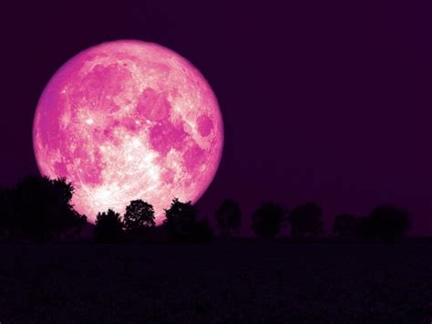 Pink Moon April 2024 Astrology Ara Valerye