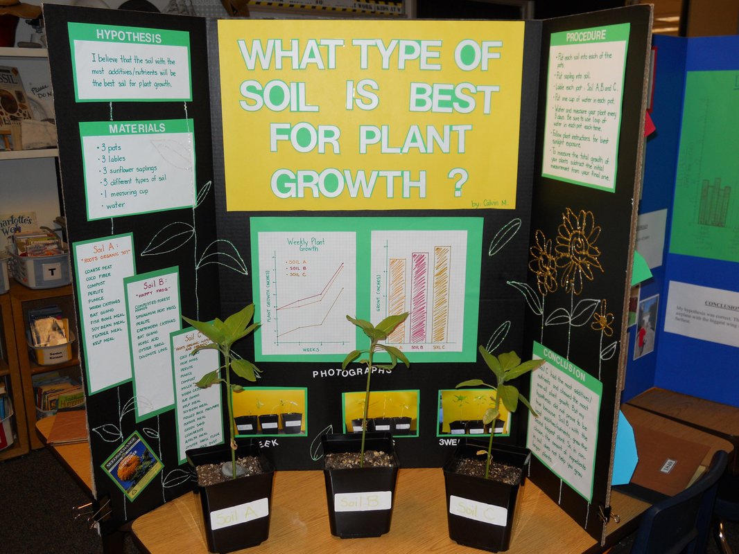 Plant Science Fair Experiments