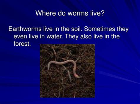 Ppt Earthworms Powerpoint Presentation Free Download Id 6410591