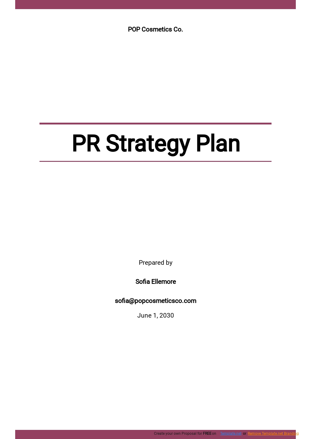 Pr Strategy Plan Template