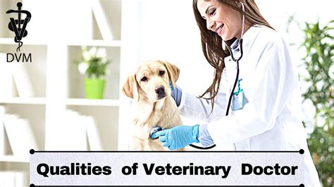 Qualities And Skills Required To Become Veterinarian Qualities Of