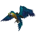 Quawks Warcraft Mounts