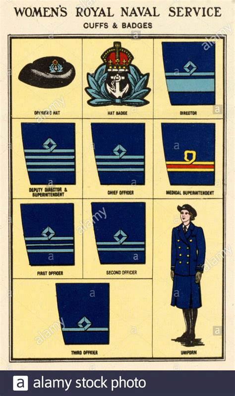 Ranks And Insignia Of The British Armed Forces Womens Royal Navy