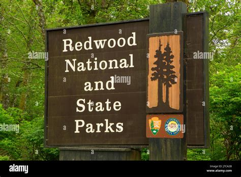 Redwood National Park Hi Res Stock Photography And Images Alamy