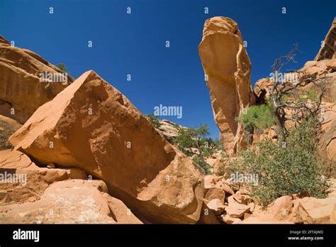 Remains Of Wall Arch Arches National Park Hi Res Stock Photography And