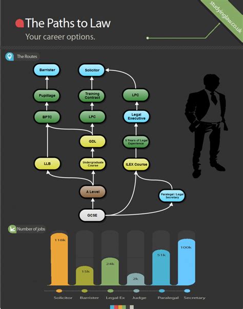 Routes Into Law The Legal Profession Infographic Law System