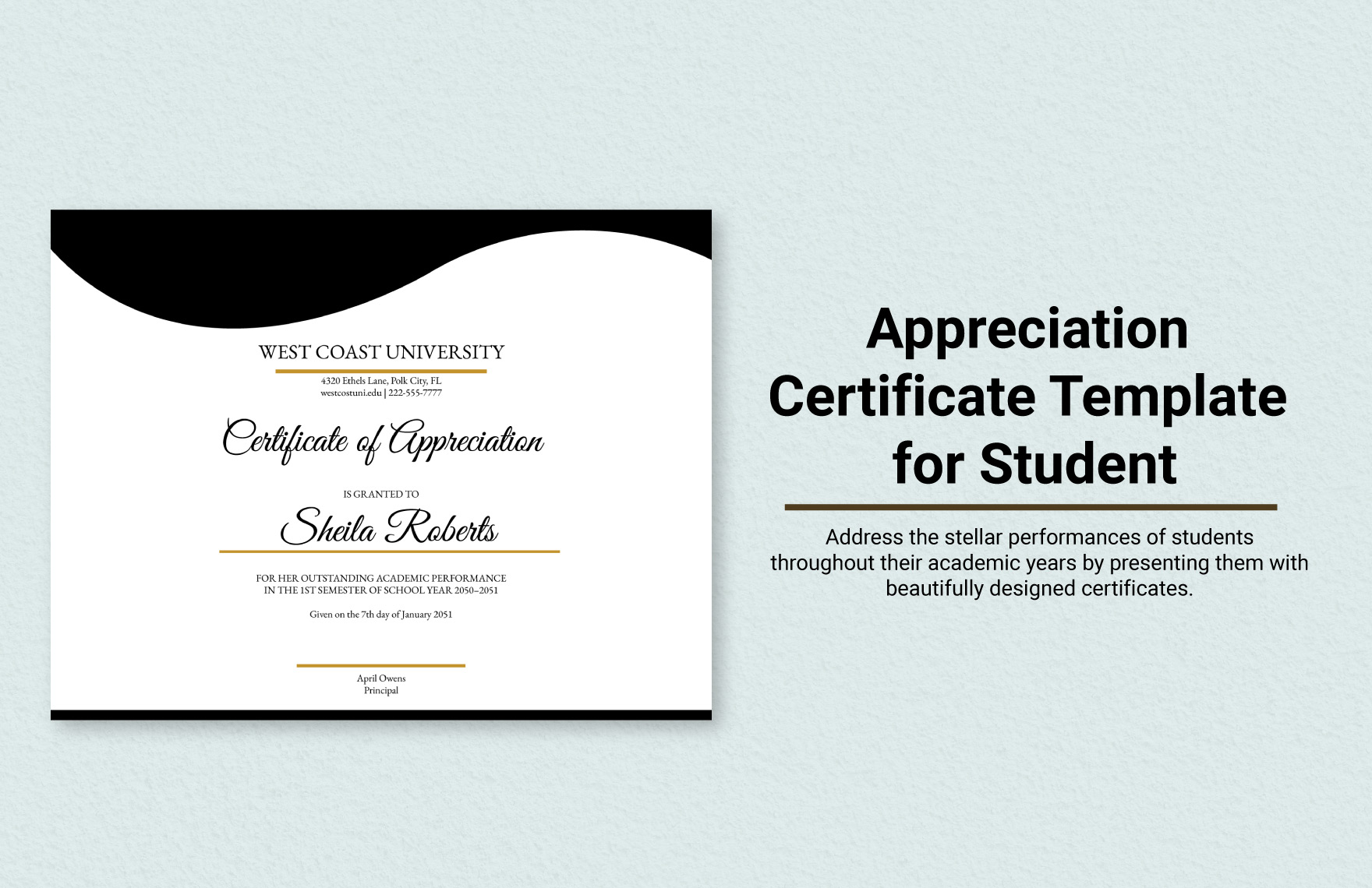 Sample Freeemployee Appreciation Lunch Sample Invites 8 Appreciation Dinner Invitations Word