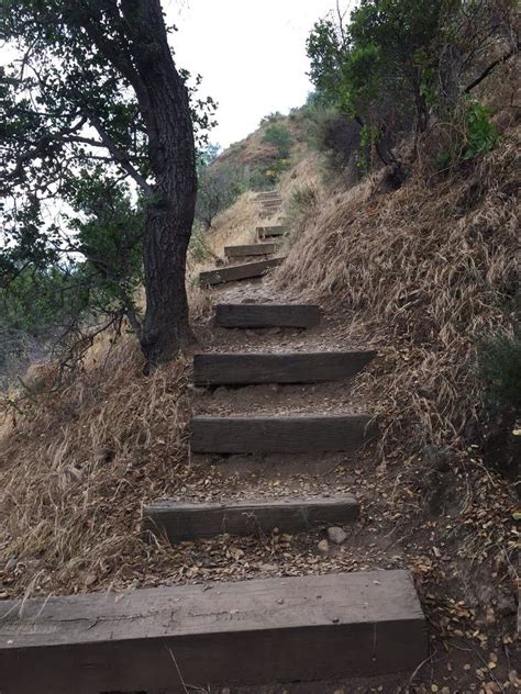 Santiago Oaks Regional Park Has The Best Hiking Trails In Southern