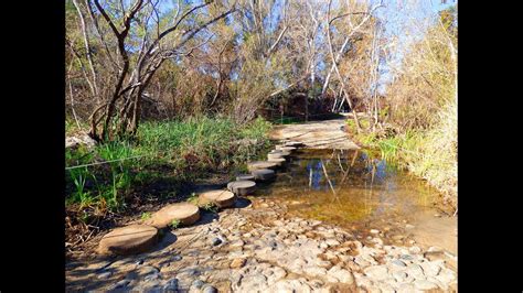 Santiago Oaks Regional Park Youtube