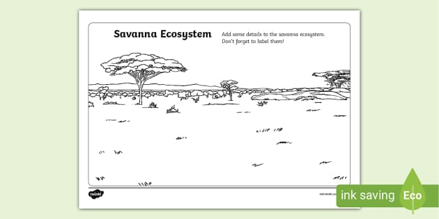 Savanna Ecosystem Worksheet Teacher Made Twinkl