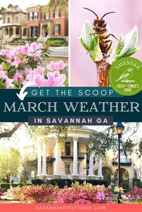 Savannah Weather March 2024 Jana Rivkah