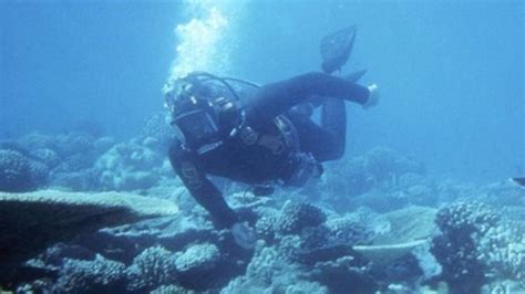 Scientist Find Earth S Deepest Sea Trench Full Of Life Bbc News