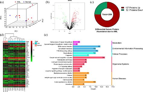 Serum Proteomics Screening Intercellular Adhesion Molecule 2 Improves