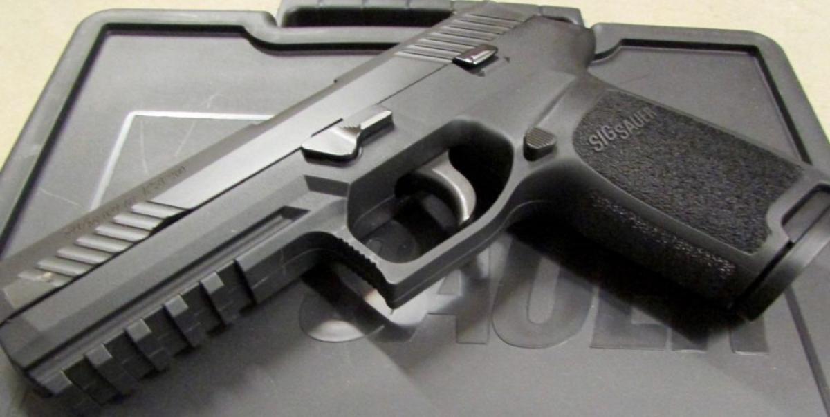 Sig Sauer P320 Models: Meet The Lineup [Ultimate Guide] Pew, 55% Off