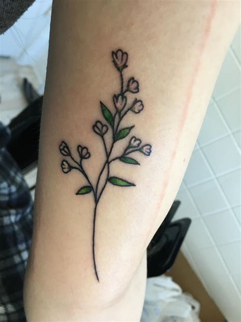 Simple Babys Breath By Vincent At Stay Gold Tattoo Studio In 5 Points