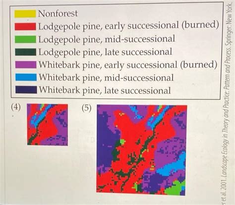 Solved Nonforest Lodgepole Pine Early Successional Chegg Com