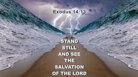 Stand Still And See The Salvation Of God Come Follow Me For Sunday