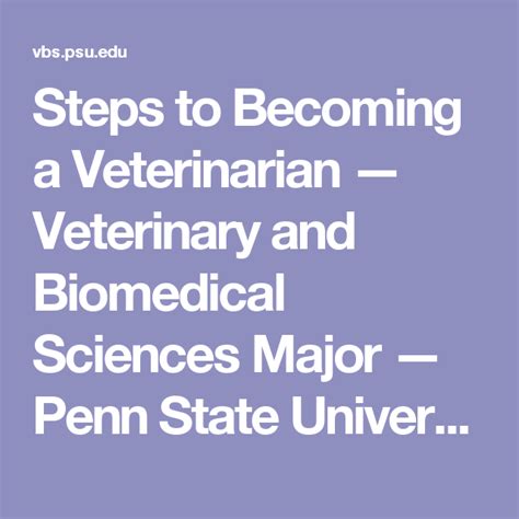 Steps To Becoming A Veterinarian Veterinary And Biomedical Sciences