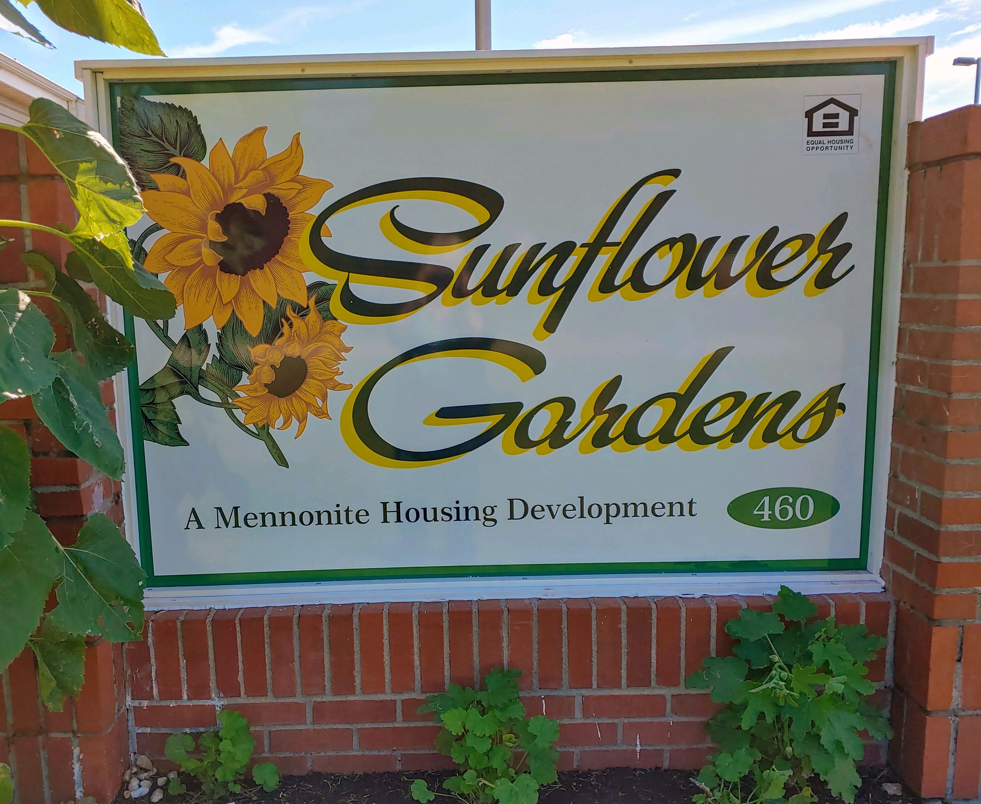 Sunflower Gardens In Valley Center Kansas