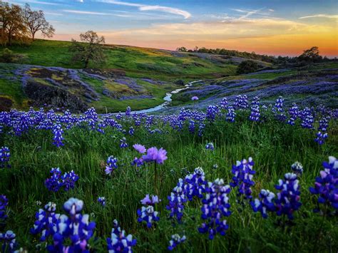 Table Mountain Located In Butte County Ca 4032X3024 Nature