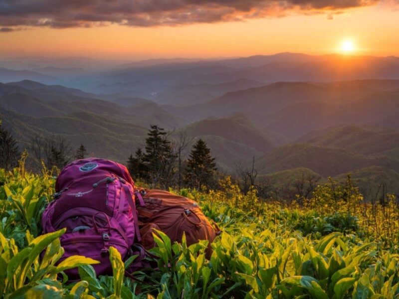 Take A Hike In Haywood County Itinerary Blue Ridge Parkway