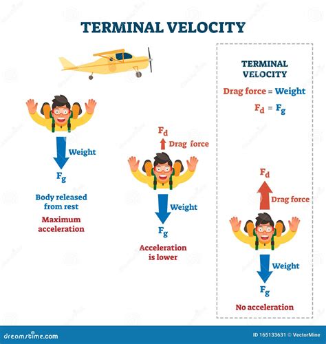 Terminal Velocity Diagram