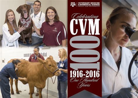 Texas A M College Of Veterinary Medicine Earns No 6 Ranking Worldwide