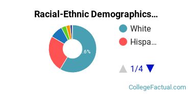 Texas A M University College Station Diversity Racial Demographics