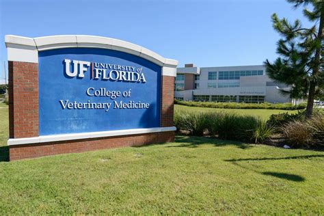 Texas Tech Plans 2021 Opening Of Veterinary School Today S Veterinary