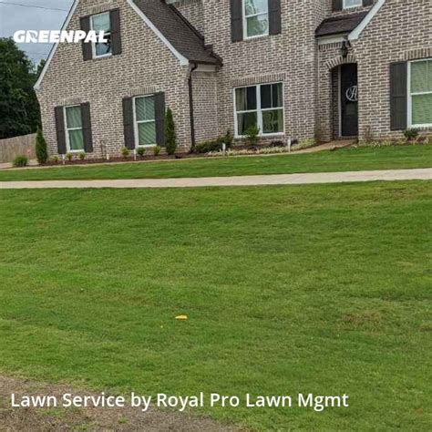 The 10 Best Lawn Care Services In Olive Branch Ms From 39