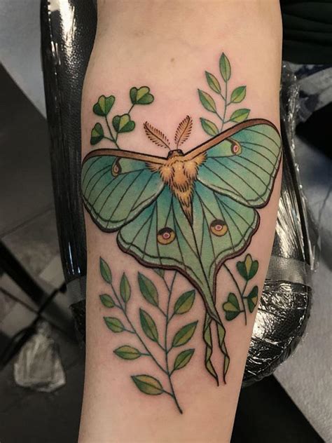 The 15 Ultimate Moth Tattoo Meanings: A Visual Guide