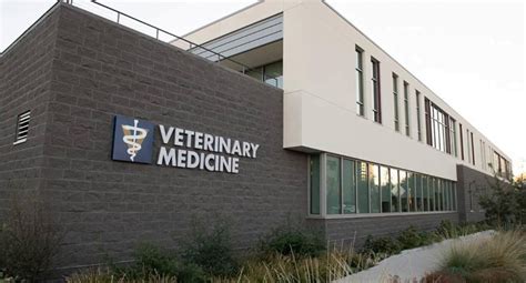 The 20 Best Veterinary Schools In Usa For 2024 College Us