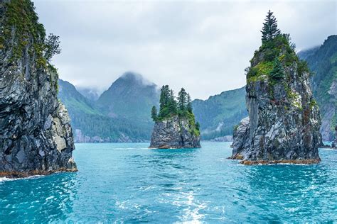 The Best 16 Islands In Alaska You Have To Visit The Wild Trek