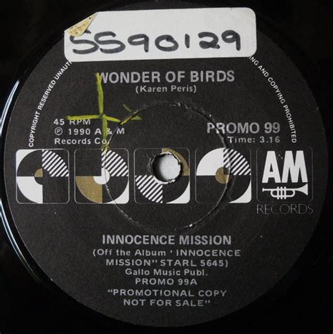 The Innocence Mission Sam Brown Wonder Of Birds Once In Your Life