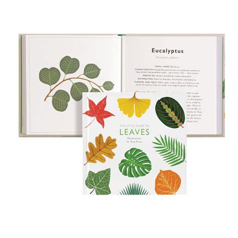 The Little Guide To Leaves Bas Bleu