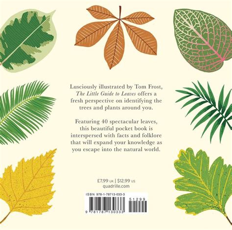 The Little Guide To Leaves Little Guides Amazon Co Uk Tom Frost