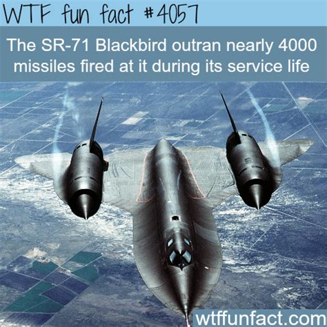 The Sr 71 Blackbird Wtf Fun Facts