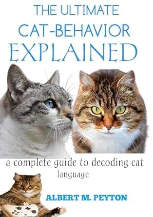 The Ultimate Cat Behavior Explained A Complete Guide To Decoding Cat