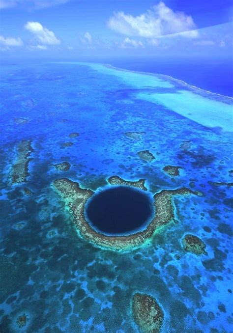 The Ultimate Guide To Diving The Blue Hole In Belize Artofit