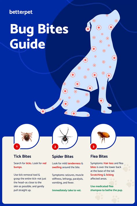 The Ultimate Guide To Identifying Mite Bites Now