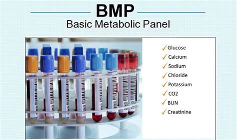 The Ultimate Guide To The Basic Metabolic Panel Unlocking The Secrets